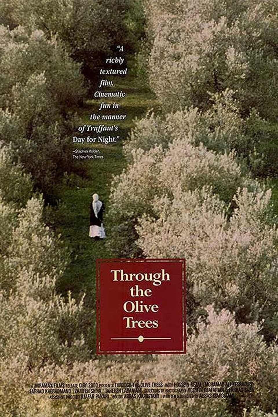 زیر درختان زیتون